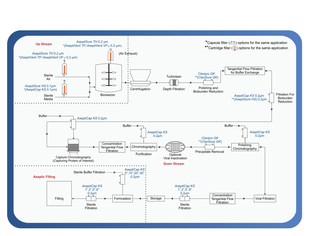 Monoclonal Antibodies